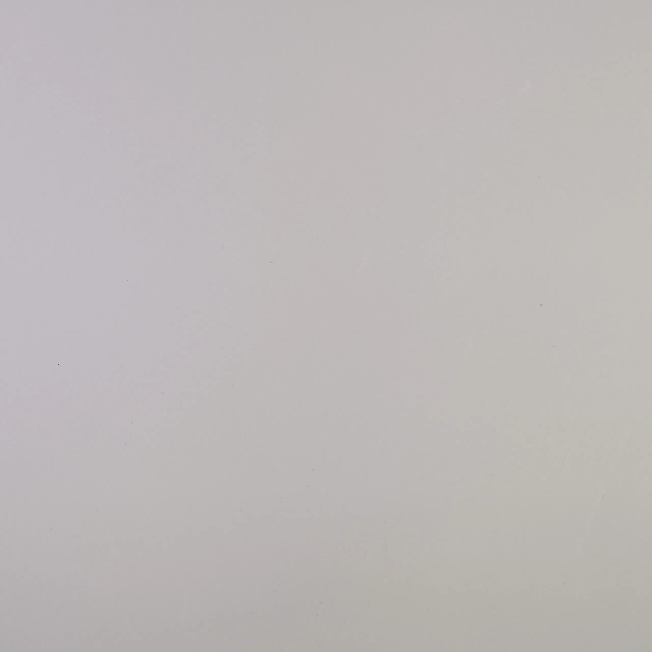 Calm Grey