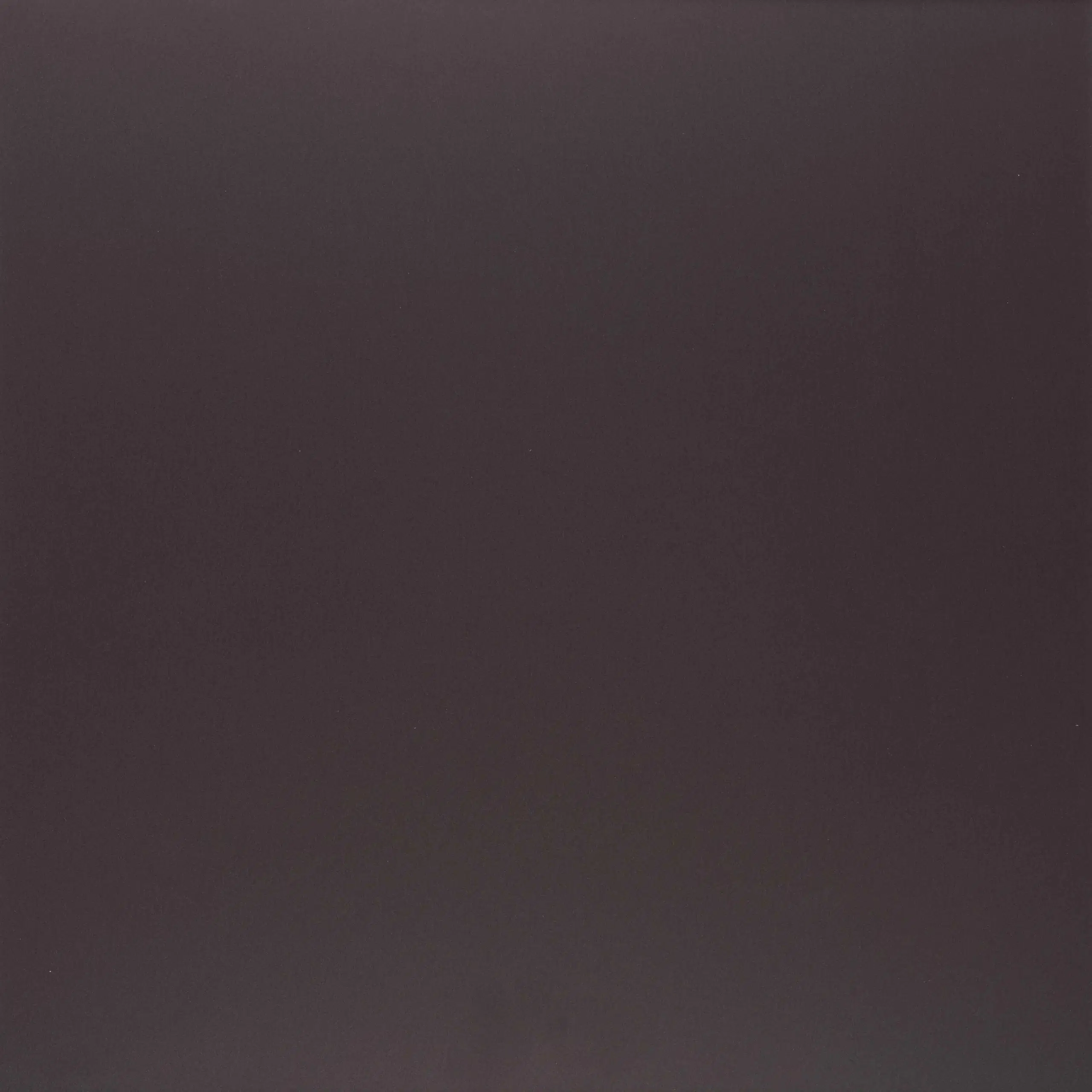 Dusky Brown